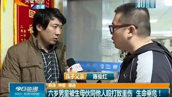 石家庄大帅最新爆料,最新爆料背后的惊人真相